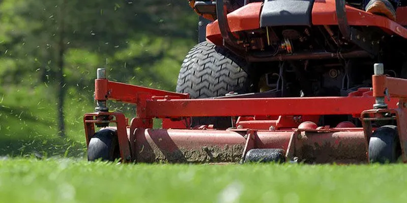 Local yard cleanup service in Elk Grove, CA by Alfredos lawn service