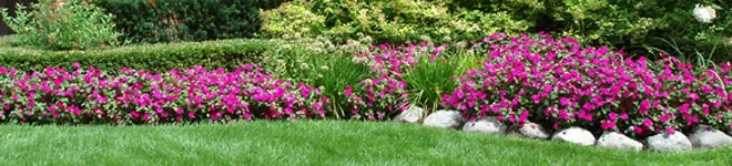 Top-rated residential landscaping in Elk Grove, CA - Alfredos lawn service