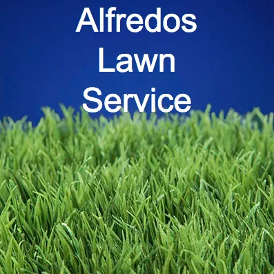 Professional lawn care service in Elk Grove, CA by Alfredos lawn service