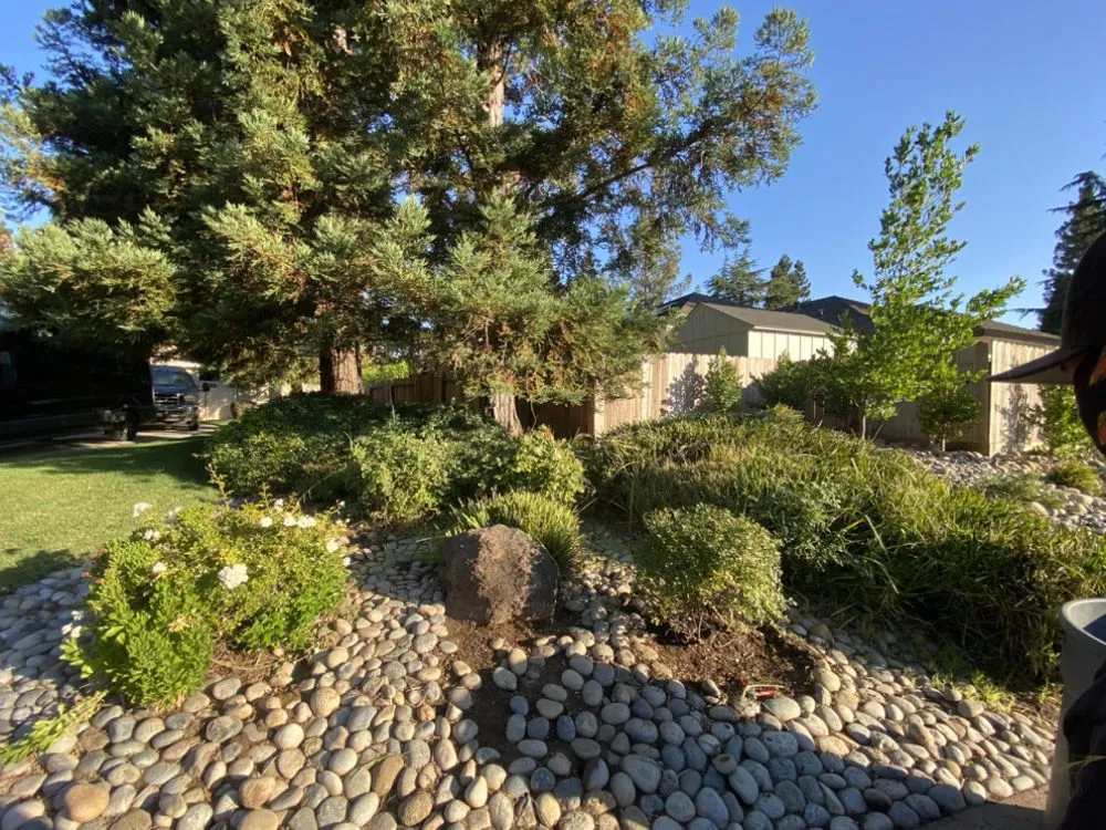 Professional landscape installation for residential properties in Oakdale, CA by Alfred's Tree Service and Landscaping