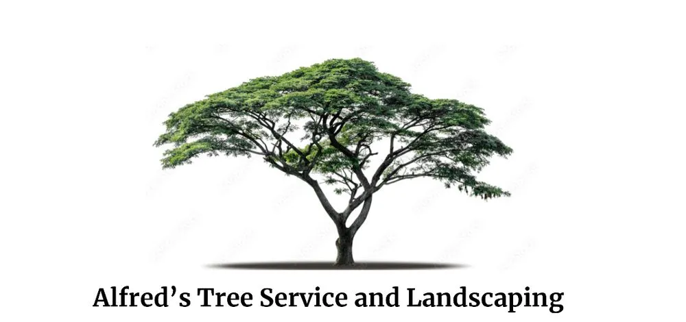Top-rated landscaping services for homes across Oakdale, CA - Alfred's Tree Service and Landscaping