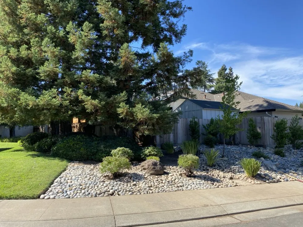 Professional garden landscaping in Oakdale, CA - Alfred's Tree Service and Landscaping