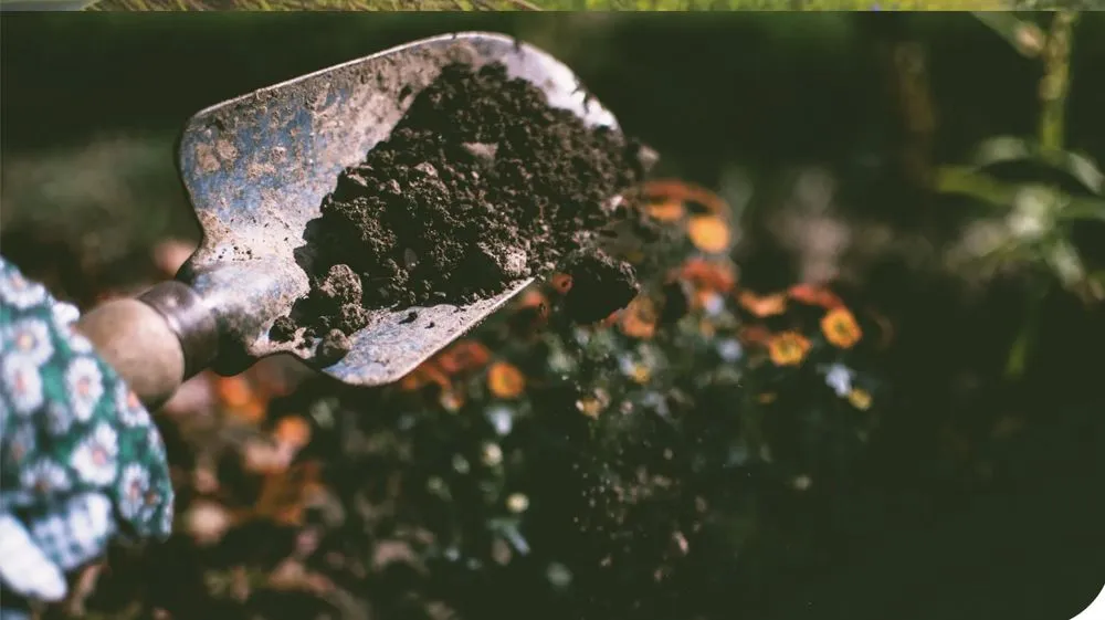 Professional garden landscaping in Auburn, WA - ALG Landscaping