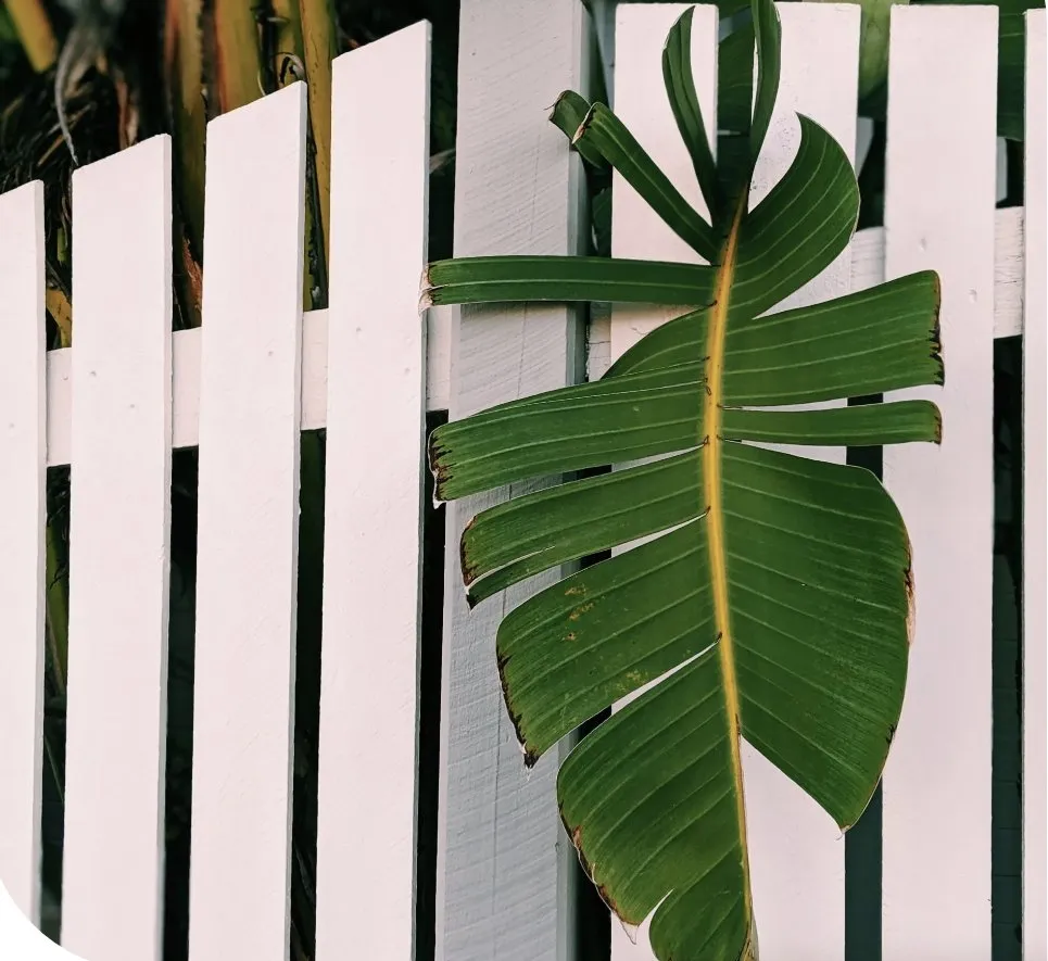 Local landscape installation with custom design across Auburn, WA - ALG Landscaping