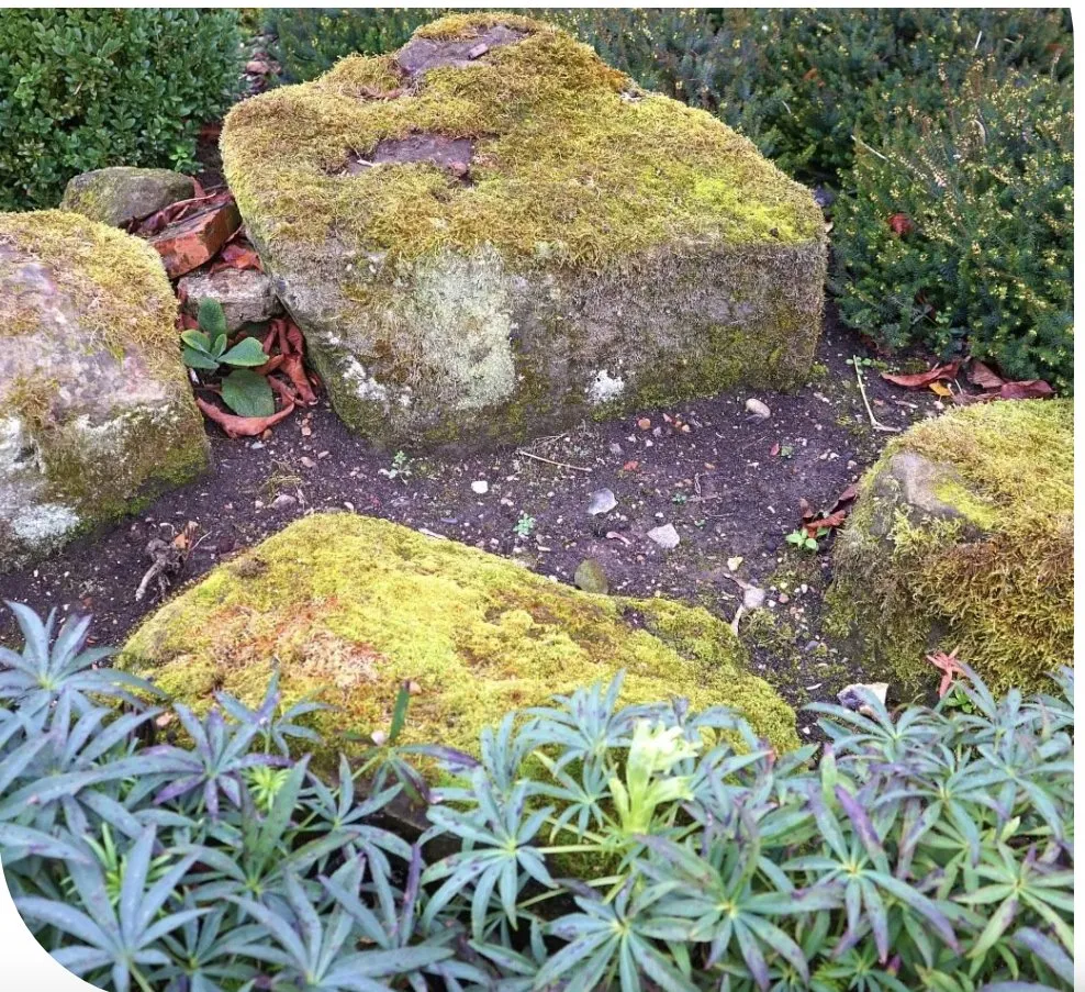 Expert garden landscaping in Auburn, WA - ALG Landscaping