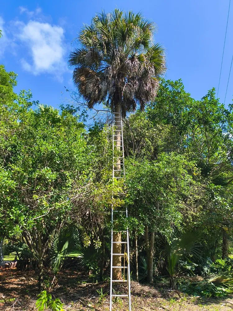 Reliable garden landscaping experts serving Lake Worth Beach, FL - ALG Landscaping