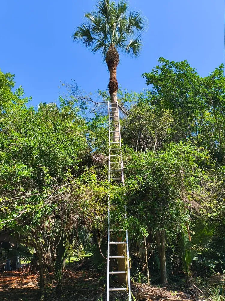 Affordable lawn care service with custom design across Lake Worth Beach, FL - ALG Landscaping