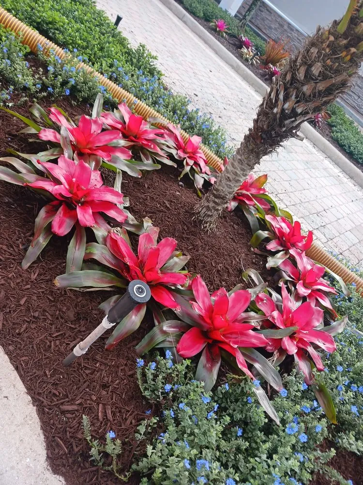 Trusted landscape installation for homes across Lake Worth Beach, FL - ALG Landscaping