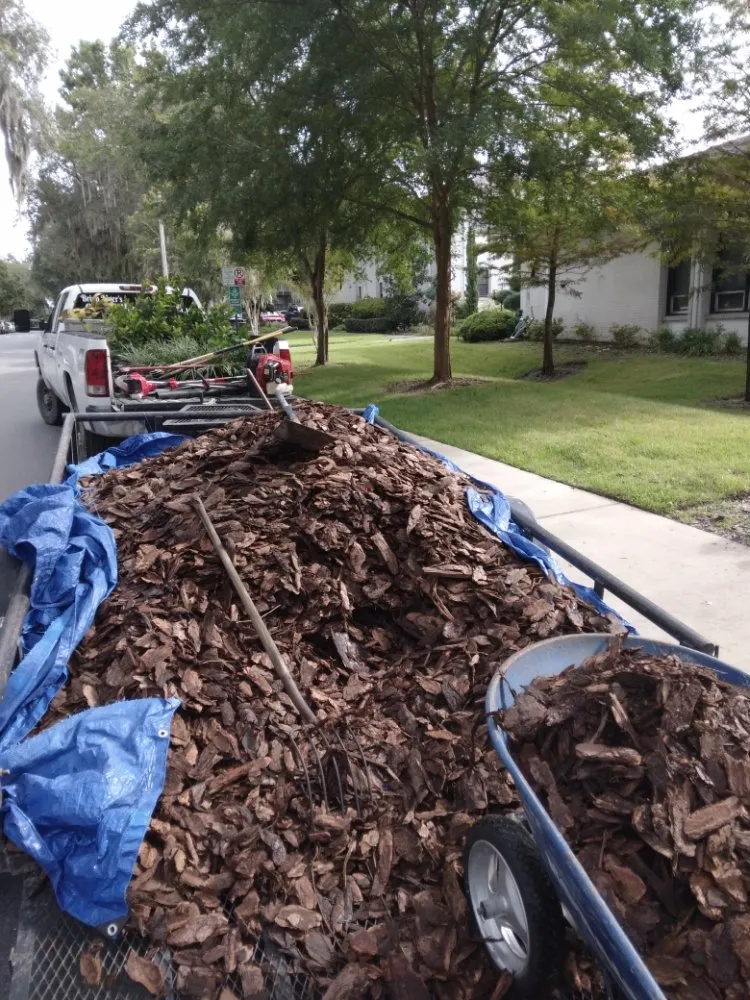 Professional lawn care service in Williston, FL by Alger's Maintenance