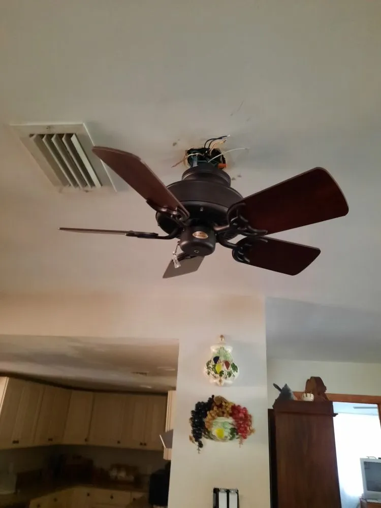 Custom yard maintenance in Williston, FL - Alger's Maintenance