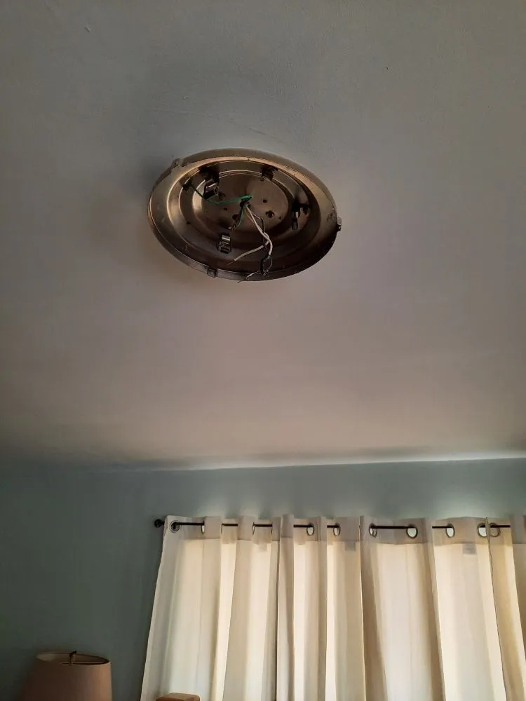 Top-rated yard maintenance in Williston, FL by Alger's Maintenance