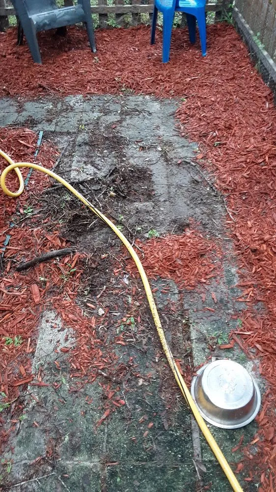 Trusted residential landscaping in Williston, FL - Alger's Maintenance