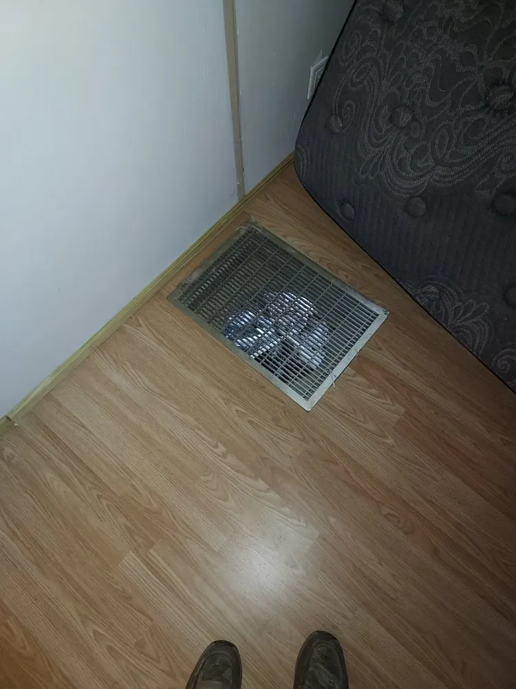 Local lawn care service experts serving Williston, FL - Alger's Maintenance