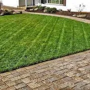 Reliable landscaping services for year-round maintenance in Concord, CA by Algiers Landscaping & Lawn Maintenance