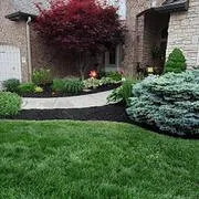 Trusted lawn care service near you in Concord, CA by Algiers Landscaping & Lawn Maintenance