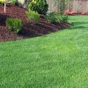 Top-rated outdoor landscaping experts serving Concord, CA - Algiers Landscaping & Lawn Maintenance