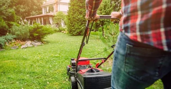 Algiers Landscaping & Lawn Maintenance Logo