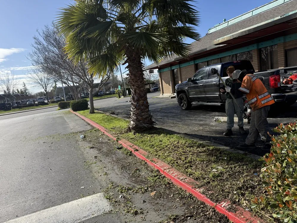 Local residential landscaping experts serving Sacramento, CA - ALH landscaping Services