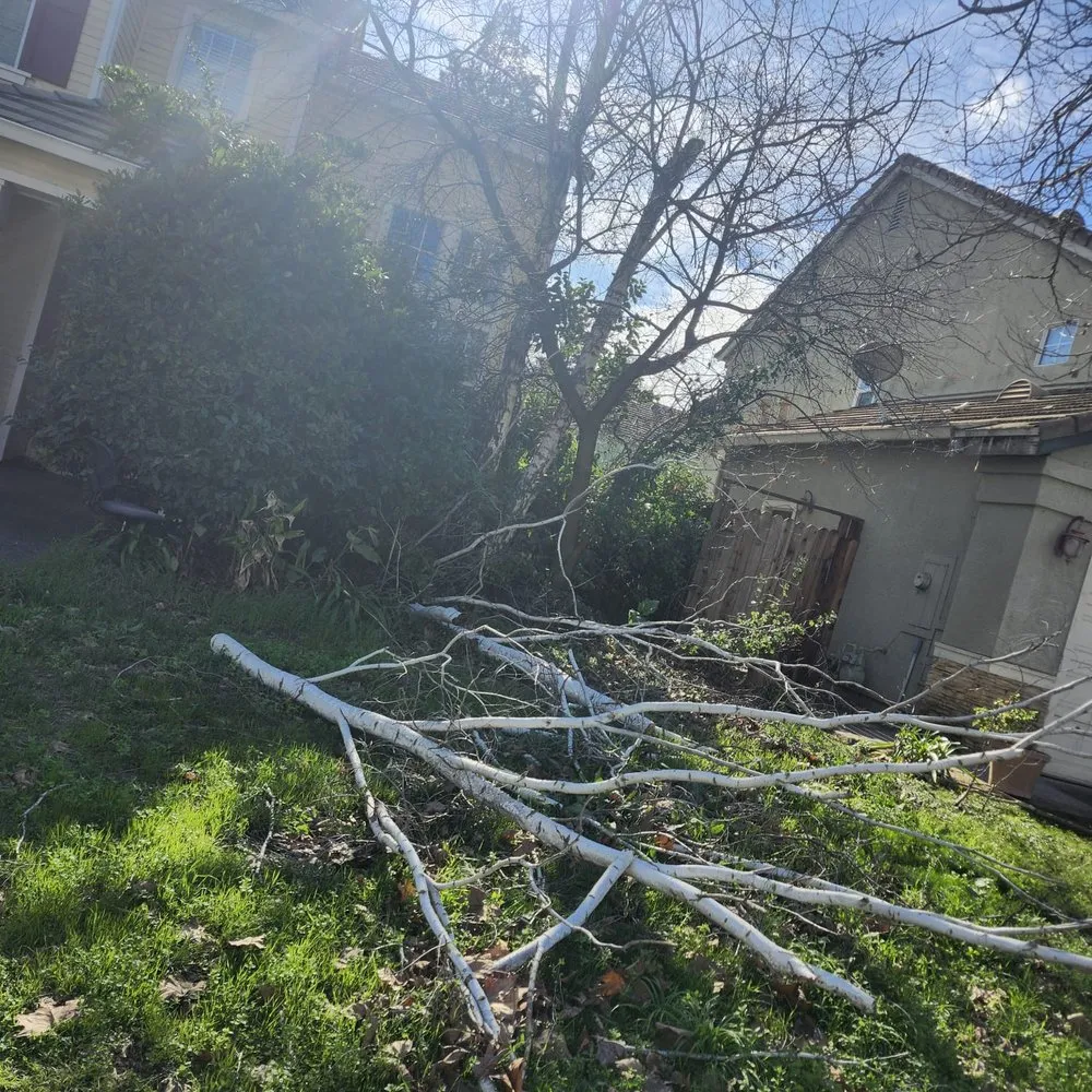 Trusted outdoor landscaping experts serving Sacramento, CA - ALH landscaping Services