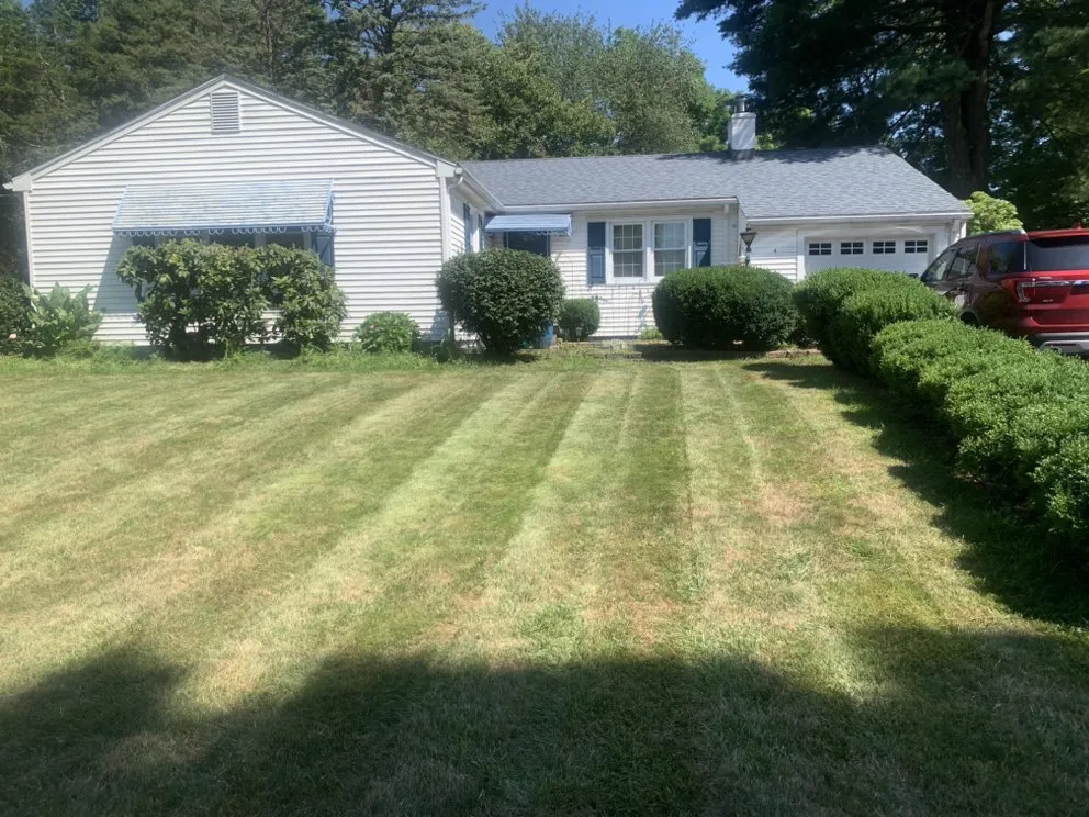 Local landscape design in West Hartford, CT - Ali Landscaping & Tree Services
