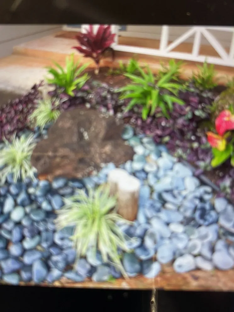 Custom yard maintenance with custom design across Waipahu, HI - Alianah Landscaping