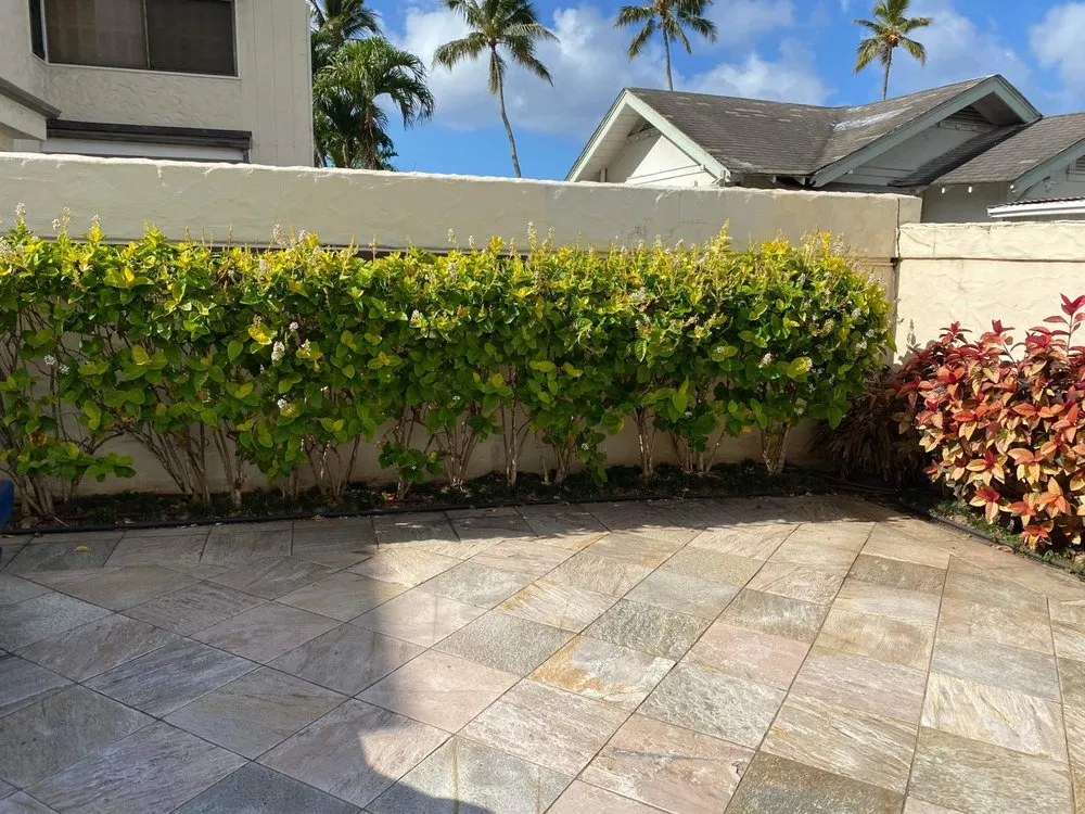 Local yard maintenance with custom design across Waipahu, HI - Alianah Landscaping