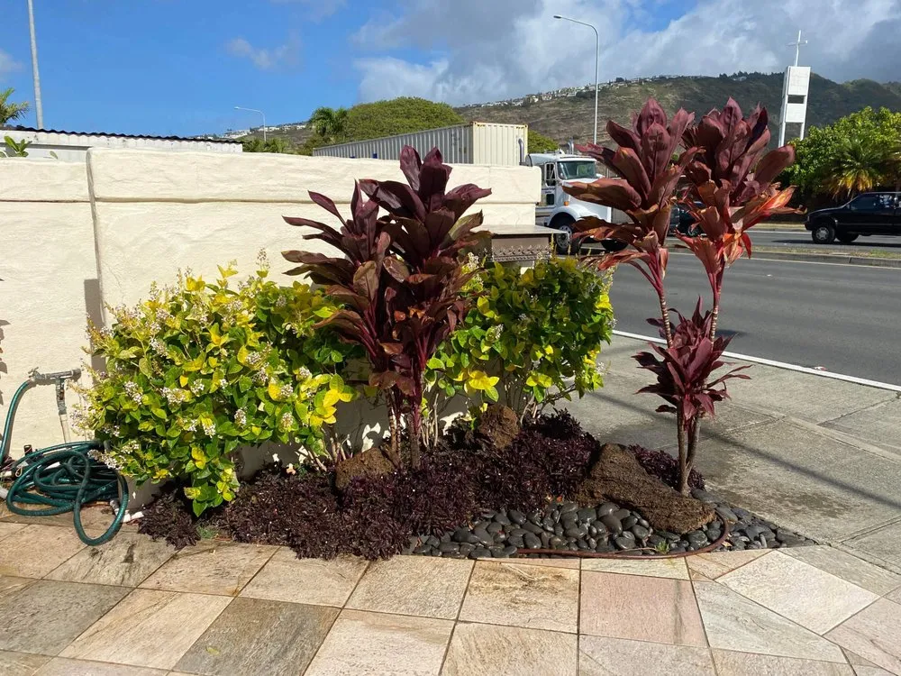 Local landscape design in Waipahu, HI by Alianah Landscaping