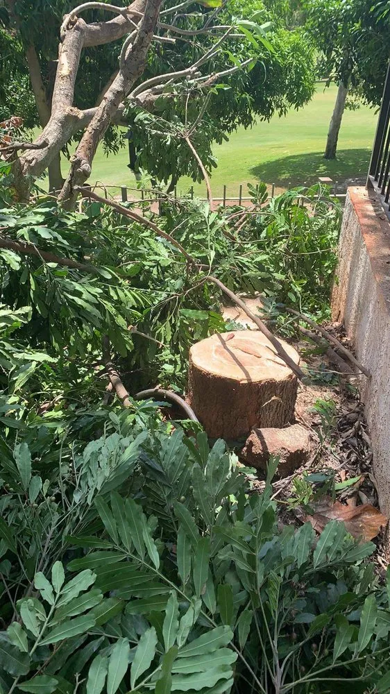 Trusted landscaping services experts serving Waipahu, HI - Alianah Landscaping