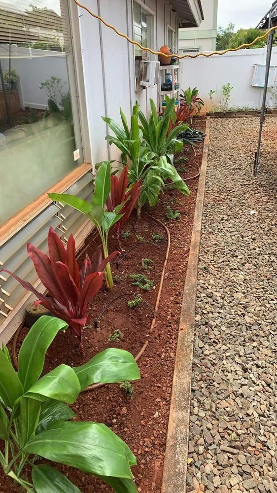 Expert yard cleanup service experts serving Waipahu, HI - Alianah Landscaping