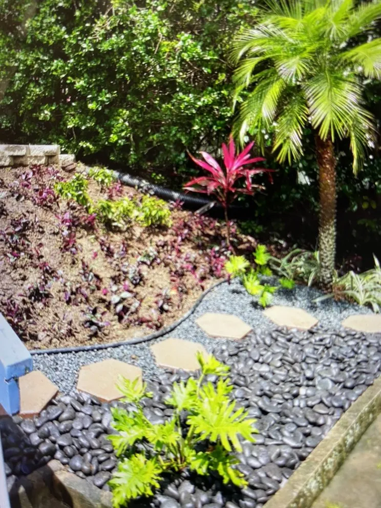 Top-rated lawn care service for homes across Waipahu, HI - Alianah Landscaping