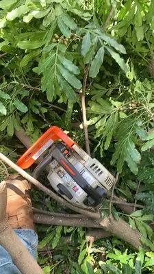 Alianah Landscaping Logo