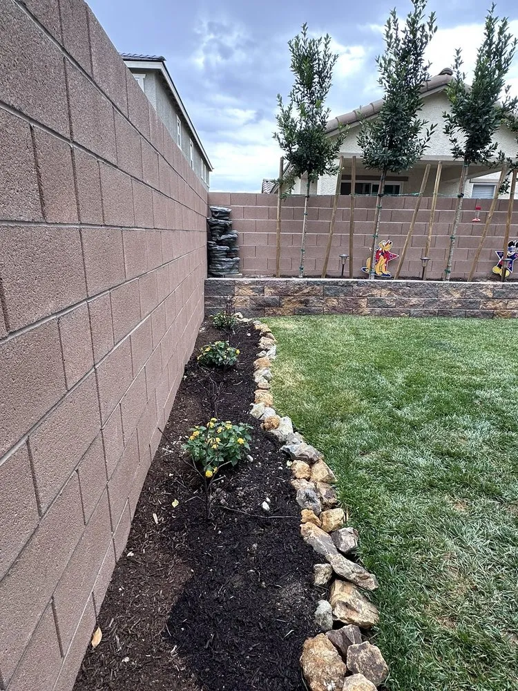 Top-rated lawn care service for homes across North Las Vegas, NV - Aliante Landscape