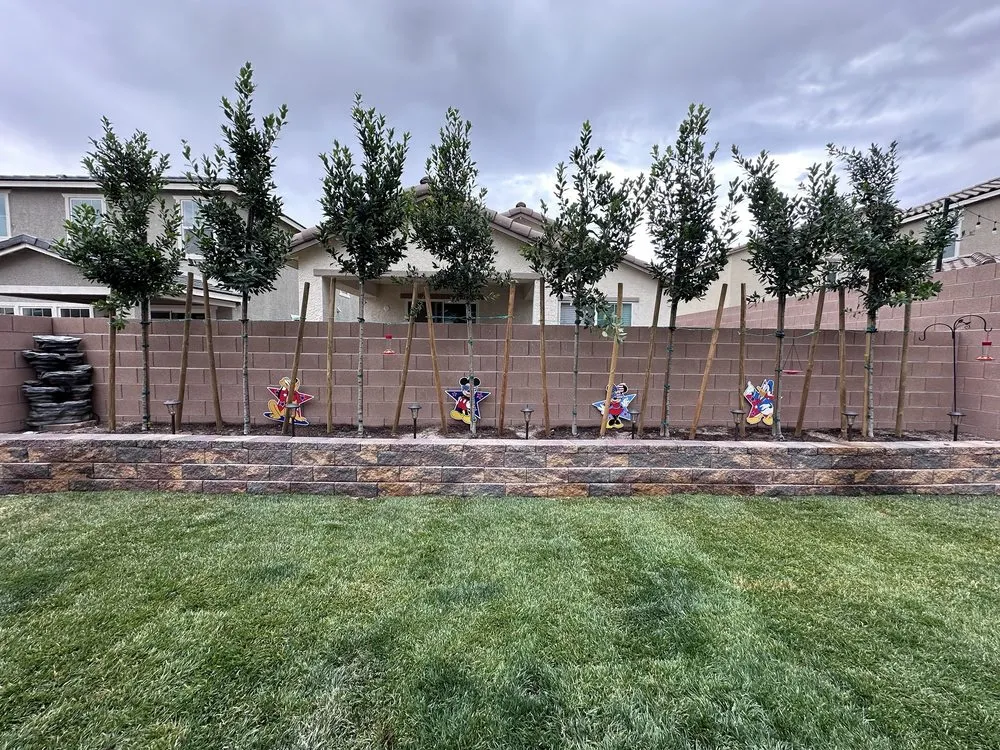 Top-rated lawn care service in North Las Vegas, NV - Aliante Landscape