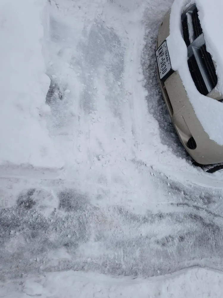 Expert yard maintenance for year-round maintenance across Milwaukee, WI - Alias