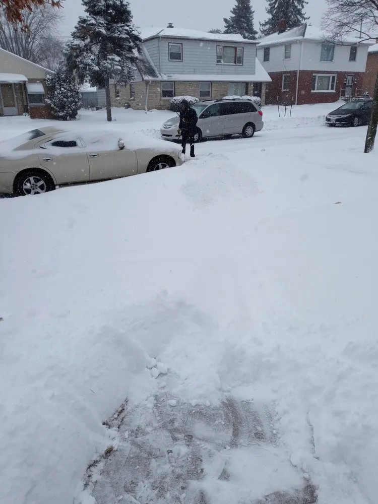 Professional landscape installation experts serving Milwaukee, WI - Alias