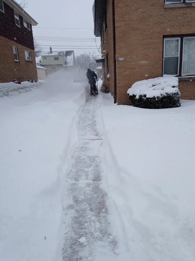 Local yard cleanup service in Milwaukee, WI - Alias