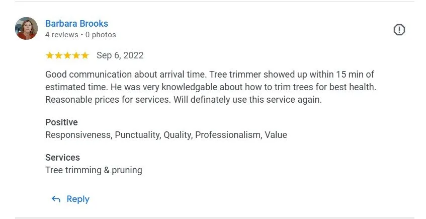 Expert yard maintenance for year-round maintenance in Phoenix, AZ by Alia’s Tree Services and Landscaping