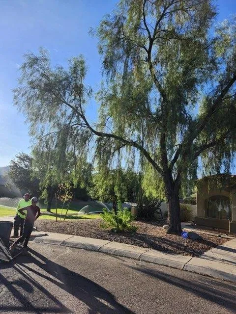 Expert lawn mowing service near you in Phoenix, AZ by Alia’s Tree Services and Landscaping