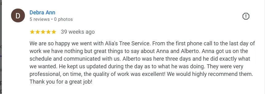 Custom landscaping services experts serving Phoenix, AZ - Alia’s Tree Services and Landscaping