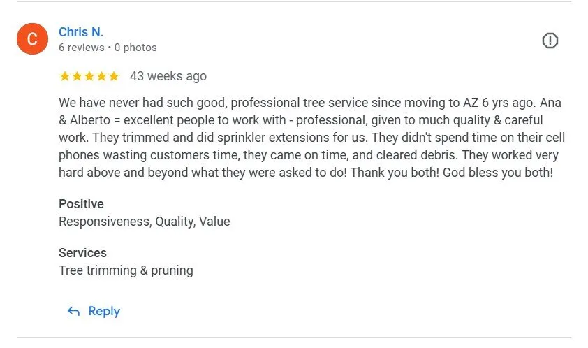 Local yard maintenance in Phoenix, AZ - Alia’s Tree Services and Landscaping