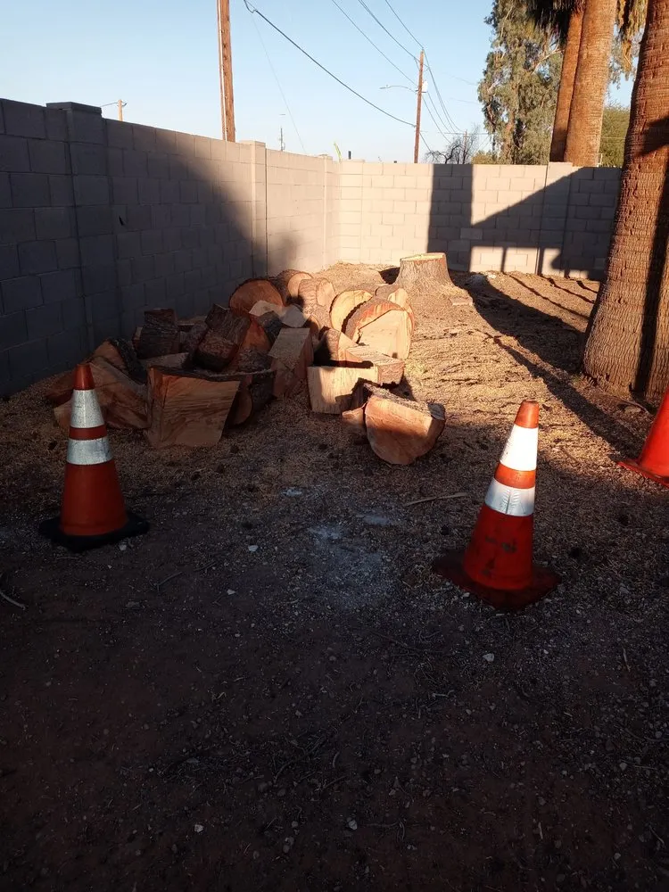 Trusted landscaping services for year-round maintenance in Phoenix, AZ by Alia’s Tree Services and Landscaping