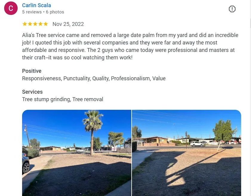 Trusted landscape design with custom design in Phoenix, AZ by Alia’s Tree Services and Landscaping