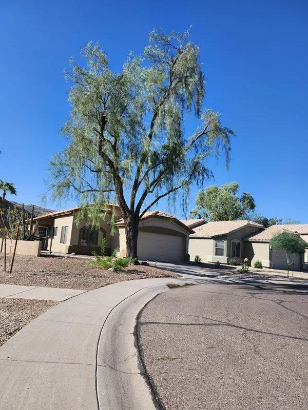 Trusted lawn mowing service with custom design across Phoenix, AZ - Alia’s Tree Services and Landscaping