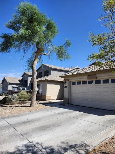 Top-rated lawn care service in Phoenix, AZ by Alia’s Tree Services and Landscaping