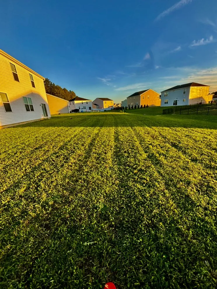 Affordable landscape installation for residential properties across Heath, OH - Alibrando Lawncare