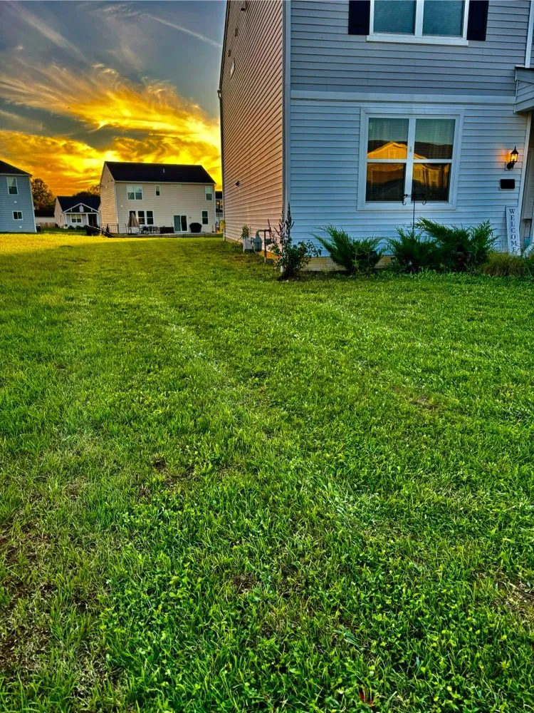 Affordable landscape design in Heath, OH by Alibrando Lawncare