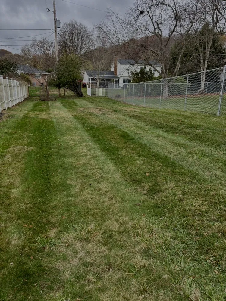 Trusted yard maintenance for homes in Heath, OH by Alibrando Lawncare