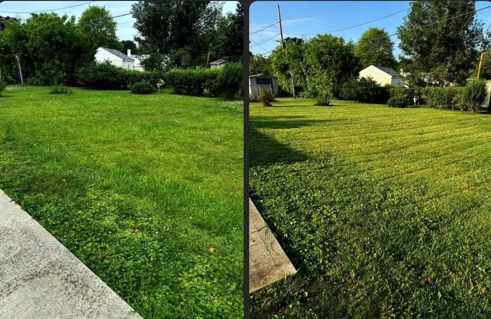 Affordable lawn mowing service in Heath, OH by Alibrando Lawncare