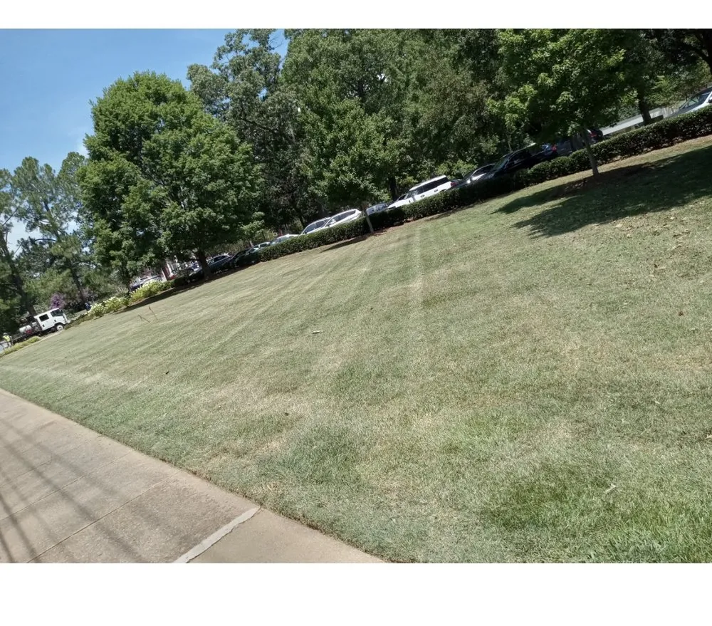 Custom lawn care service experts serving Horsham, PA - Alice Lawn Care