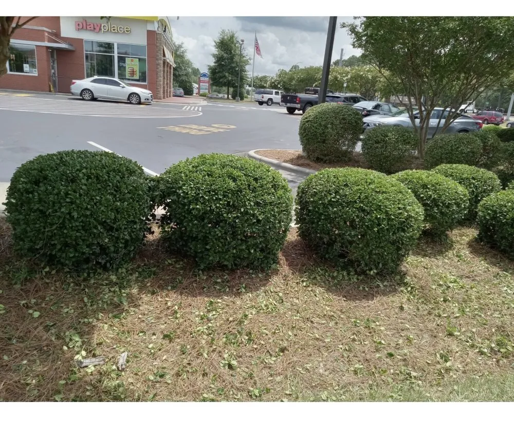 Expert yard maintenance in Horsham, PA - Alice Lawn Care